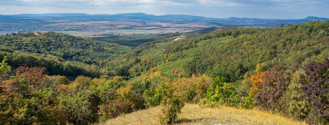 Budai tájvédelmi körzet Budajenő szomszédságában